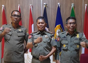 Satpol PP Sultra