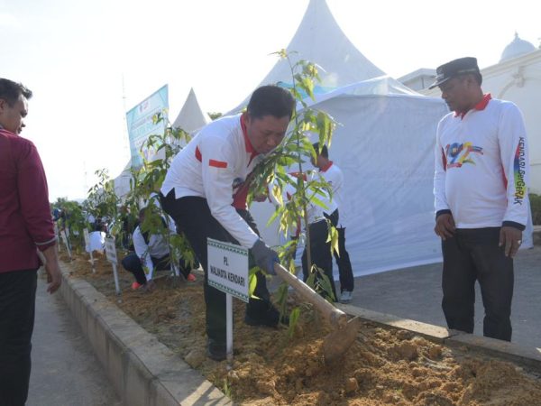 Pohon Rawan Tumbang Ditebang, Asmawa Tanam Jutaan Pohon Pelindung
