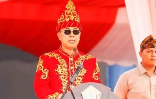 Harmoni Sultra, Andi Sumangerukka Tekankan Persatuan di HUT ke-61 Provinsi