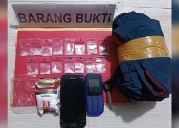Diduga Edarkan Narkoba, Pemuda Asal Kendari Ditangkap Polisi Konsel