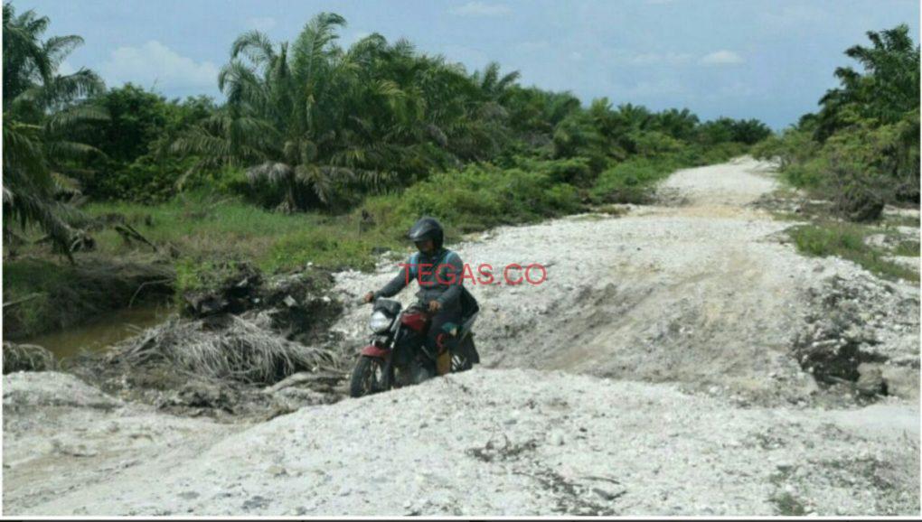Gubernur Anggap Jalan Evakuasi Tsunami Singkil Tak Penting﻿