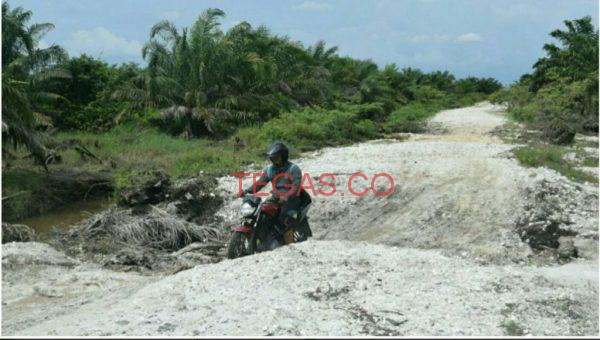 Gubernur Anggap Jalan Evakuasi Tsunami Singkil Tak Penting﻿