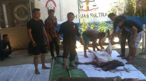 Idul Adha, KAI Sultra Bagikan Daging Kurban ke 60 Warga