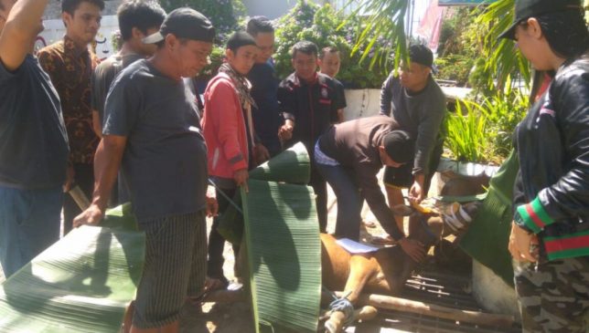 Idul Adha, KAI Sultra Bagikan Daging Kurban ke 60 Warga