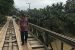 Bakal calon Gubernur Sultra Ir. Hugua saat meninjau jembatan Atari jaya di kecamatan lalembuu Konawe Selatan. FOTO : IST