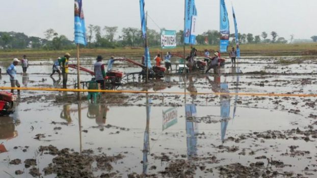 Serunya Balap Hand Traktor di Persawahan