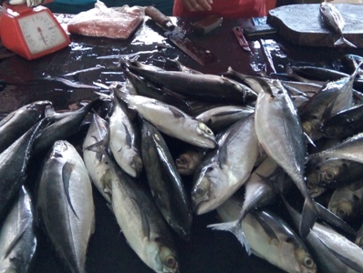 harga ikan di sejumlah pasar di aceh singkil masih stabil jelang bulan ramadhan. FOTO : MAN
