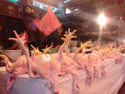Empat hari jelang bulan puasa harga ayam di sejumlah pasar di kota kendari mengalami kenaikan 20-30 persen. FOTO : ILHAM