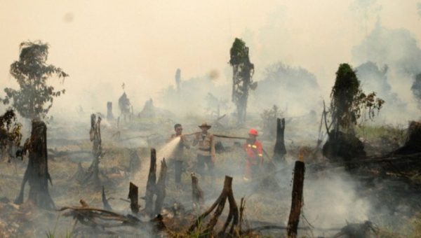 Nestapa Konflik dalam Balutan Asap