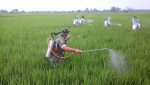 Ini Dia Program Ketahanan Pangan Wilayah Kodim 0824