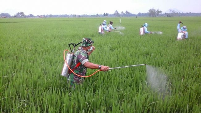 Ini Dia Program Ketahanan Pangan Wilayah Kodim 0824