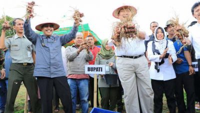 Bantaeng Diharapkan Jadi salah satu Penyuplai Komoditi Pertanian di Indonesia