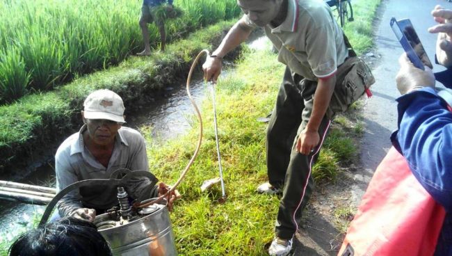 Babinsa Posramil 0824/29 Bersama PPL Dampingi Petani Basmi Hama