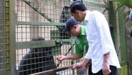 Liburan Keluarga, Presiden Kunjungi Ragunan
