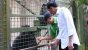 Liburan Keluarga, Presiden Kunjungi Ragunan