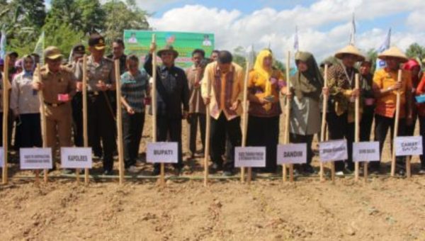 Sukseskan Swasembada Pangan, Bupati Gelar Penanaman Perdana Kedelai