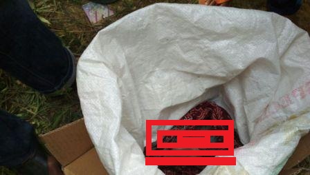 Warga Digegerkan Mayat Bayi Dalam Kardus