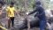 Warga Temukan Gajah Mati Di Aceh Timur