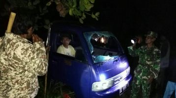 Meresahkan, Warga Tangkap Pencuri Sapi