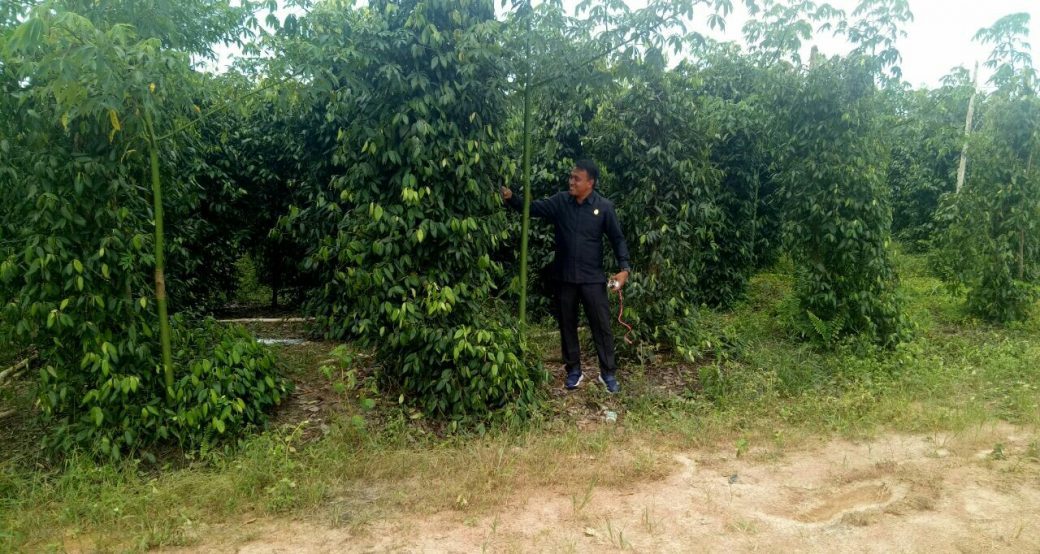 DPRD Konsel Gelar KAD di Bangka Tengah Terkait Lada dan Karet