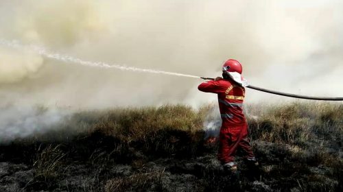 73 Hektarare Lahan Safana Kabupaten Bombana dan Konsel Terbakar