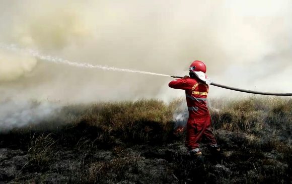 73 Hektarare Lahan Safana Kabupaten Bombana dan Konsel Terbakar