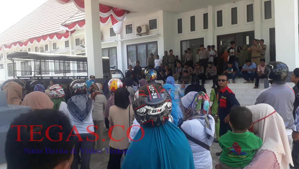 Demo K2 di Muna Minta Pemerintah Pusat Keluarkan Perpu Soal UU ASN