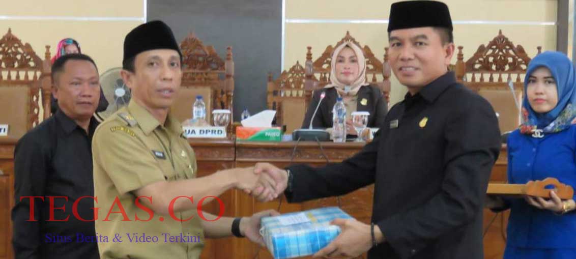 Pemda Konsel Serahkan RAPBD 2019, Ketua DPRD: Kami Segera Membahasnya