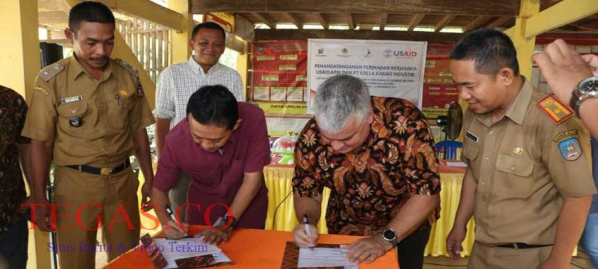 USAID APIK dan KKI Teken MoU Ketangguhan dan Kemajuan Kakao Konsel