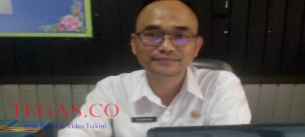 Seleksi CPNS Honorer K2 Kota Kendari, 3 Orang Lulus Tes SKD