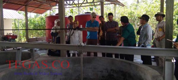 Badan Ketahanan Pangan Bersama FAO Indonesia Tinjau Pengolahan Sagu di Angata