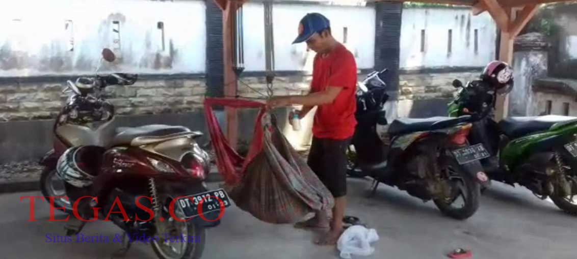 Seorang Bapak Rela Jaga Anak saat Istri Tes CPNS