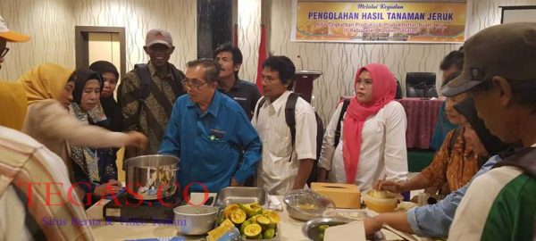 Tingkatkan SDM Petani Jeruk, Dinas TPHP Konsel Gelar Pelatihan Home Industri