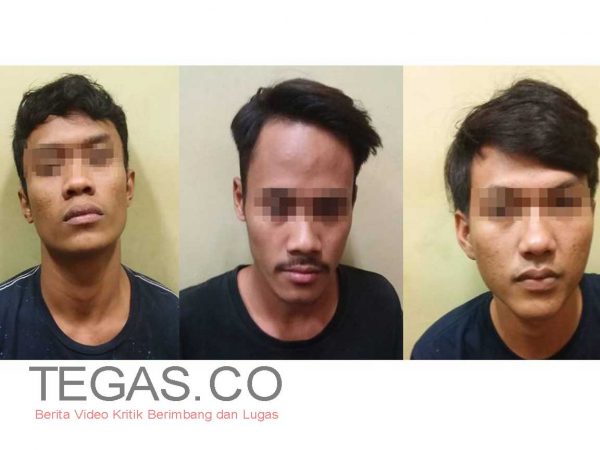 Polsek Tambora Bekuk 3 Pengedar dan Pemakai Narkoba Jenis Ganja
