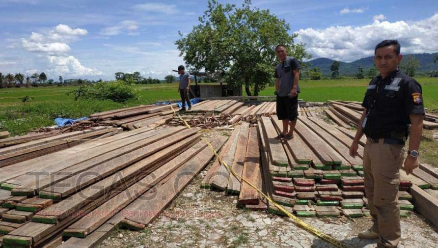 Polres Konawe Amankan Pelaku Illegal Logging