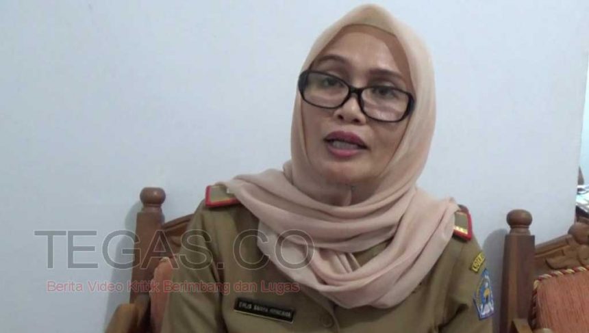 Dinas PU Kendari Benahi Jembatan Tapal Kuda