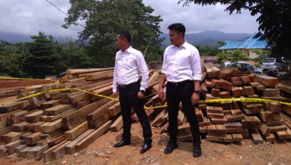 Polres Konut Amankan 23 Kubik Kayu Ilegal