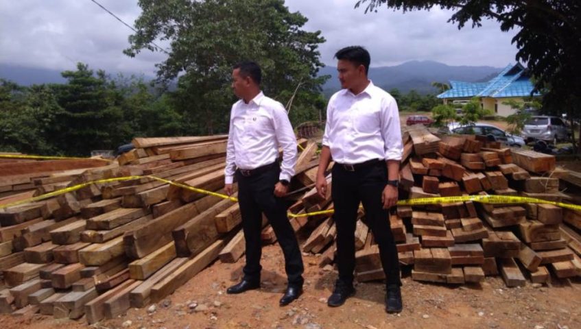 Polres Konut Amankan 23 Kubik Kayu Ilegal