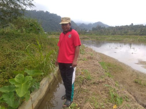 Desa Ponggi di Kolut Butuh Bantuan Hendraktor dan Irigasi untuk Sawah