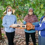 Buruh Pengupas Kacang Mete. Rantai Produksi yang Tidak Dapat Perhatian
