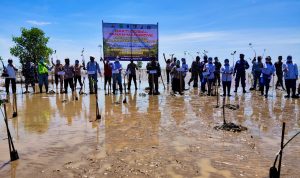 Penanaman mangrove oleh Lanal Sangatta
