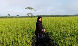 Hegemoni Kapitalis di Kota Bau-Bau Berkedok Investasi
