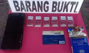 Satresnarkoba Polres Konsel Ungkap Peredaran Sabu di Tinanggea