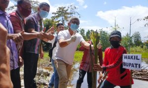 Wabub Konawe Serahkan Langsung Bantuan Kepetani