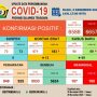 Diagram update Covid-19 (2/12/20)