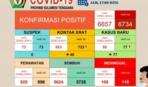 Diagram update data Covid-19 (3/12/20)