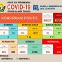 Diagram update data Covid-19 (3/12/20)