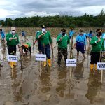 Foto saat melakukan penanaman pohon mangrove