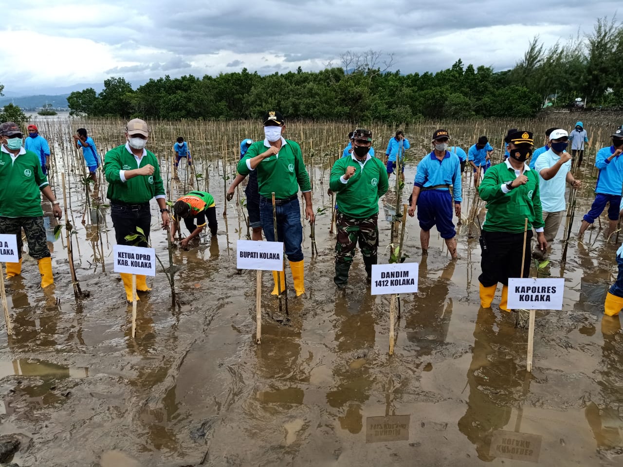 Foto saat melakukan penanaman pohon mangrove