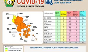 Update Covid-19 Sultra, Baubau Sumbang 3 Kasus Positif